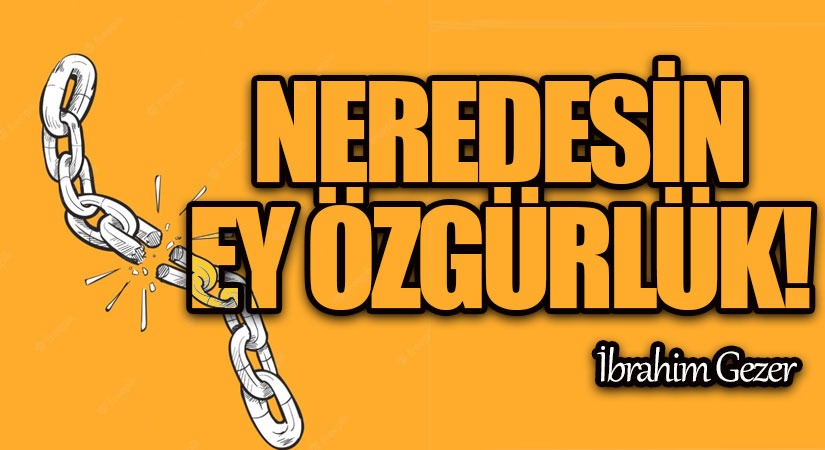 Neredesin Ey Özgürlük!