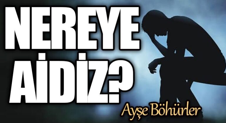 Nereye Aidiz?