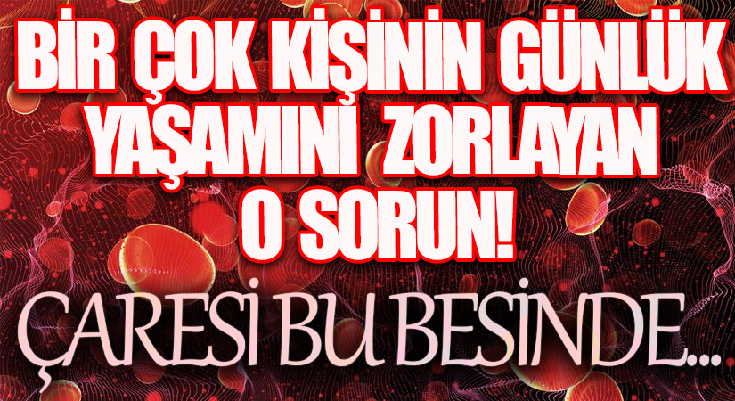 B12 Vitamin Eksikliğinin Çaresi Bu Besinde!