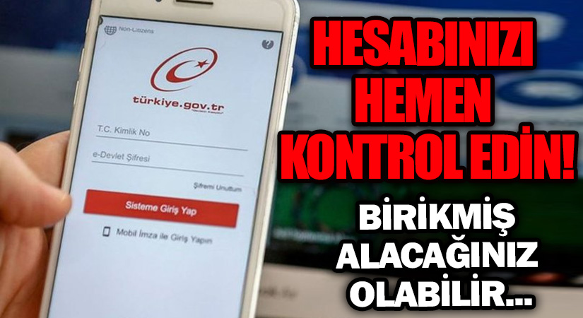e-Devlet Hesabınızı Hemen Kontrol Edin!