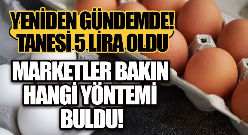 Yumurta Krizi Büyüyor!