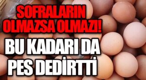 Yumurta Fiyatları Fırladı!