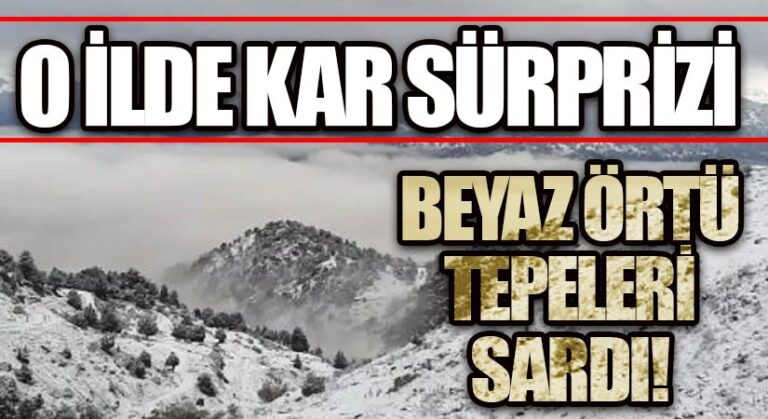 Artvin Beyaz Örtüye Büründü