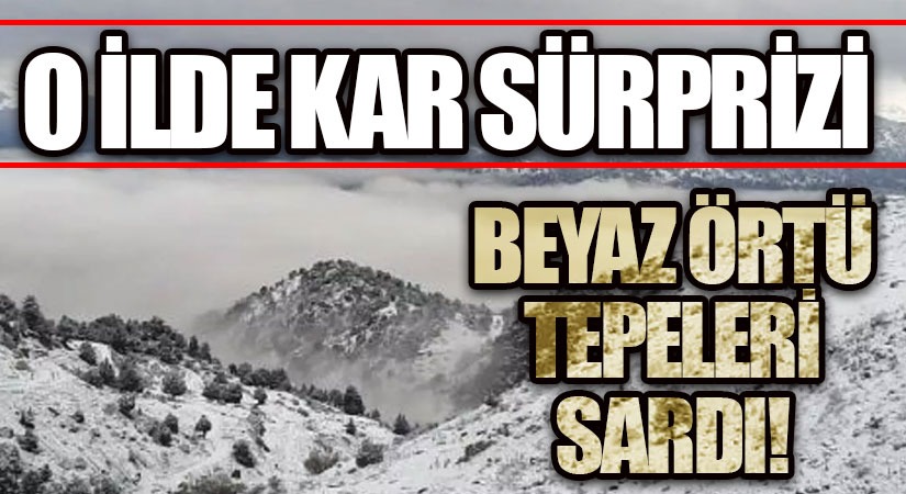 Artvin Beyaz Örtüye Büründü