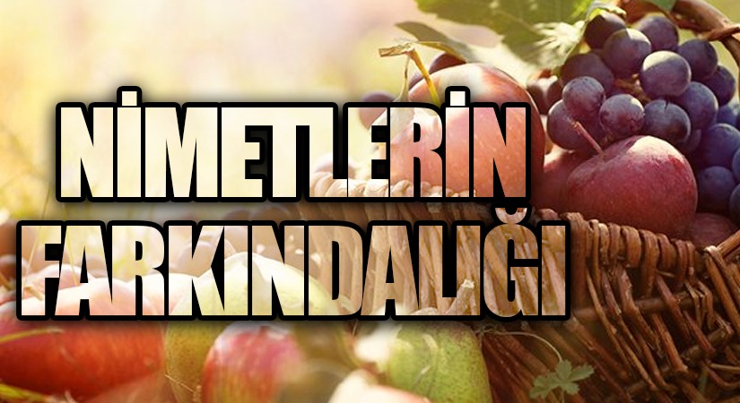 NİMETLERİN FARKINDALIĞI