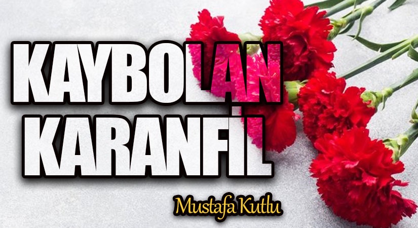 Kaybolan Karanfil