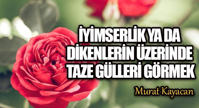 İyimserlik Ya da Dikenlerin Üzerinde Taze Gülleri Görmek