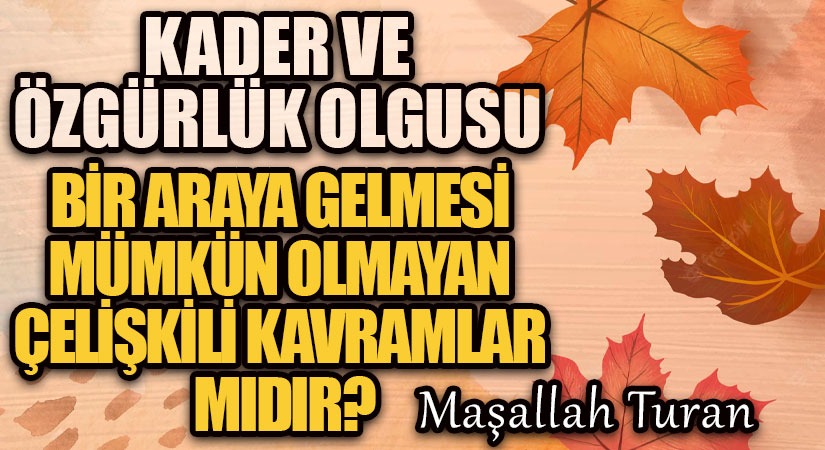 Kader ve Özgürlük Olgusu, Bir Araya Gelmesi Mümkün Olmayan Çelişkili Kavramlar mıdır?