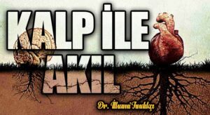 Kalp İle Akıl