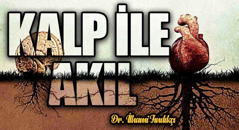 Kalp İle Akıl