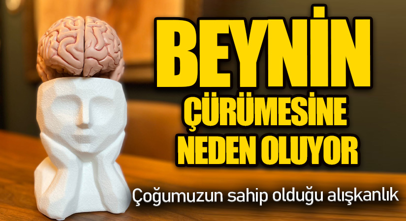 Beyin Çürümesine Neden Oluyor!