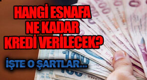 Hangi Esnafa Ne Kadar Kredi Verilecek?
