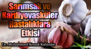 Sarımsak ve Kardiyovasküler Hastalıklara Etkisi