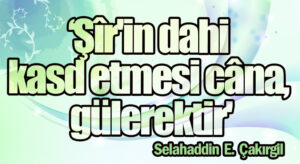 ‘Şîr’in dahi kasd etmesi câna, gülerektir’