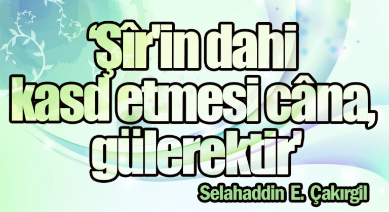 ‘Şîr’in dahi kasd etmesi câna, gülerektir’