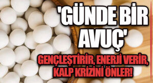 ‘GÜNDE BİR AVUÇ’ GENÇLEŞTİRİR, ENERJİ VERİR, KALP KRİZİNİ ÖNLER!