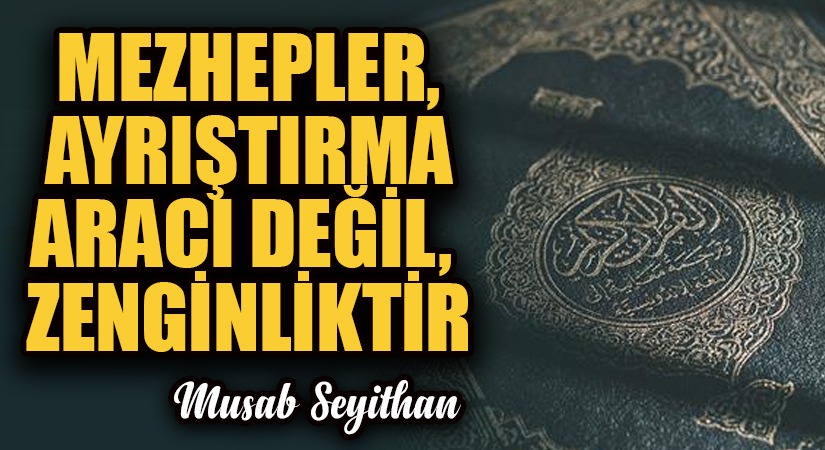 MEZHEPLER, AYRIŞTIRMA ARACI DEĞİL, ZENGİNLİKTİR