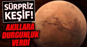 Akıllara Durgunluk Verdi!