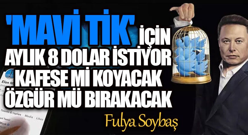 Mavi tik’ için aylık 8 dolar istiyor – Kafese mi koyacak özgür mü bırakacak