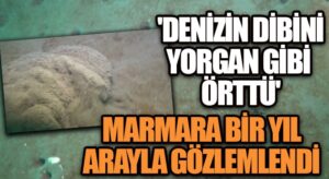 “MÜSİLAJ ÇAMURU DENİZ DİBİNDE YAŞAM ALANLARINA ZARAR VERİYOR”