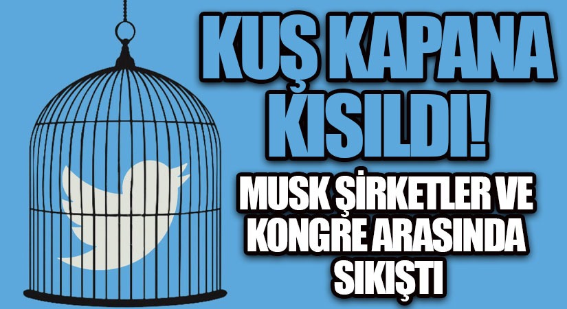 Musk Şirketler ve Kongre Arasında Sıkıştı