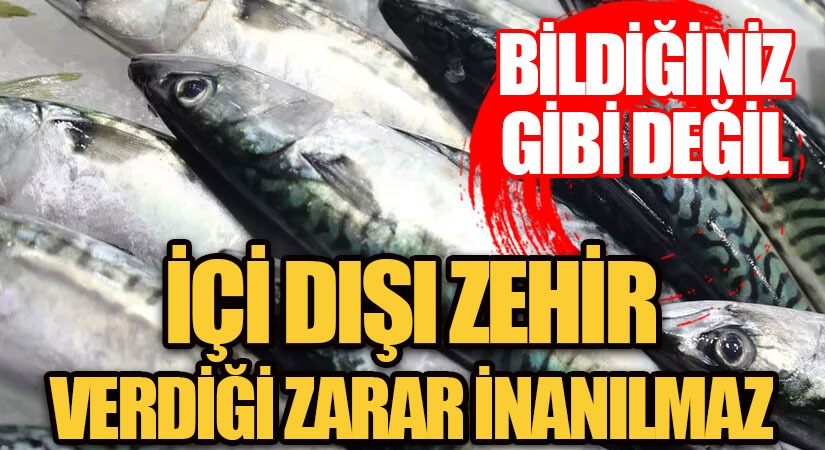 Dikkat! Verdiği Zarara İnanamayacaksınız