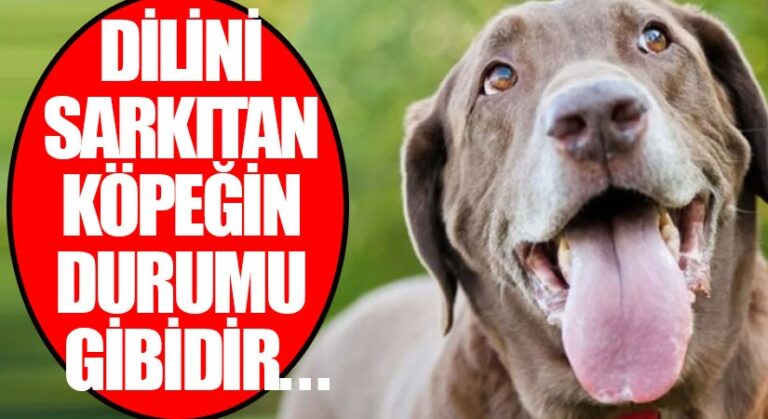 ”DİLİNİ SARKITAN KÖPEĞİN DURUMU GİBİDİR…”