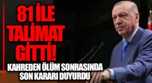 Erdoğan: “Sahipsiz Hayvanların Yeri Sokaklar Değil, Barınaklardır”