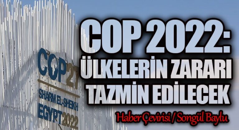 COP 2022: ÜLKELERİN ZARARI TAZMİN EDİLECEK