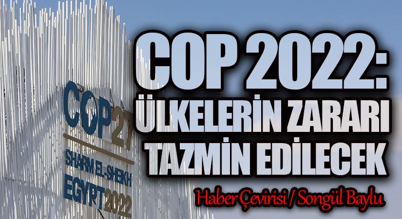 COP 2022: ÜLKELERİN ZARARI TAZMİN EDİLECEK