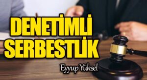 DENETİMLİ SERBESTLİK          