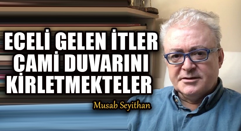 ECELİ GELEN İTLER CAMİ DUVARINI KİRLETMEKTELER