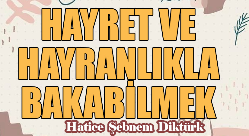 HAYRET VE HAYRANLIKLA BAKABİLMEK