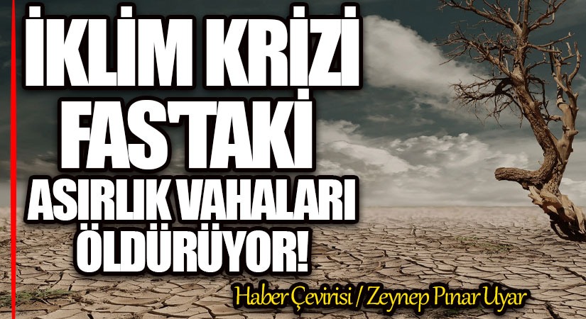 İklim Krizi Fas’taki Asırlık Vahaları Öldürüyor