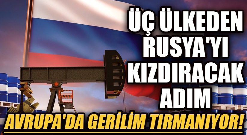 Üç Ülkeden Petrol Tavan Fiyat Uygulamasına Destek