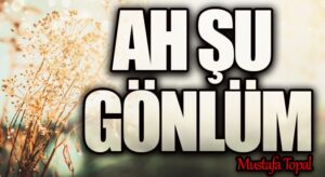 AH ŞU GÖNLÜM