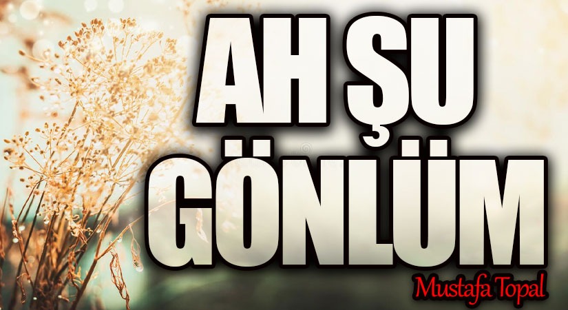 AH ŞU GÖNLÜM