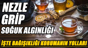 Soğuk Algınlığı, Grip, Nezle.. Uzmanlardan Korunmanın Yolları