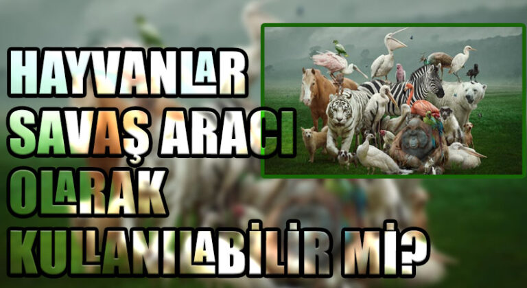 HAYVANLAR SAVAŞ ARACI OLARAK KULLANILABİLİR Mİ?