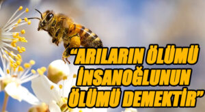 “ARILARIN ÖLÜMÜ İNSANOĞLUNUN ÖLÜMÜ DEMEKTİR.”