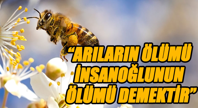 “ARILARIN ÖLÜMÜ İNSANOĞLUNUN ÖLÜMÜ DEMEKTİR.”