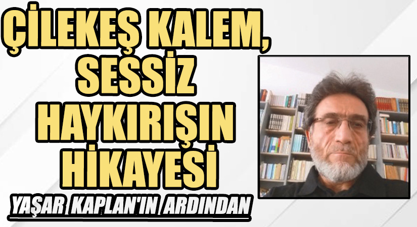 ÇİLEKEŞ KALEM, SESSİZ HAYKIRIŞIN HİKAYESİ