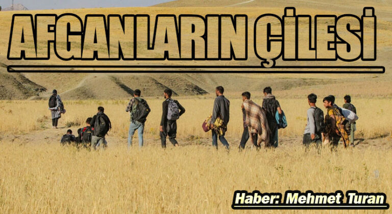 Afganların Çilesi