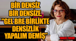 BİR DENSİZ BİR DENSİZE, “GEL BRE BİRLİKTE DENSİZLİK YAPALIM” DEMİŞ