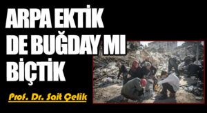 ARPA EKTİK DE BUĞDAY MI BİÇTİK