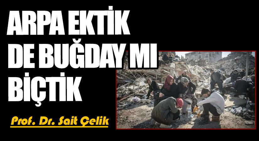 ARPA EKTİK DE BUĞDAY MI BİÇTİK