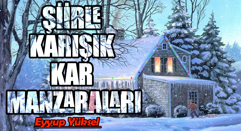 ŞİİRLE KARIŞIK KAR MANZARALARI    