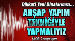 Yeni Binalarımızı Ahşap Yapım Tekniğiyle Yapmalıyız