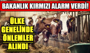 Türkiye’de Şap Alarmı!