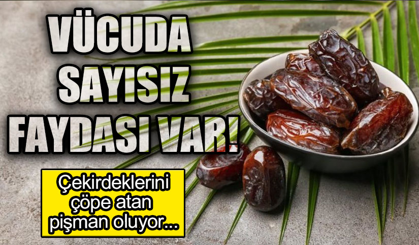 Çekirdeklerini Çöpe Atan Pişman Oluyor